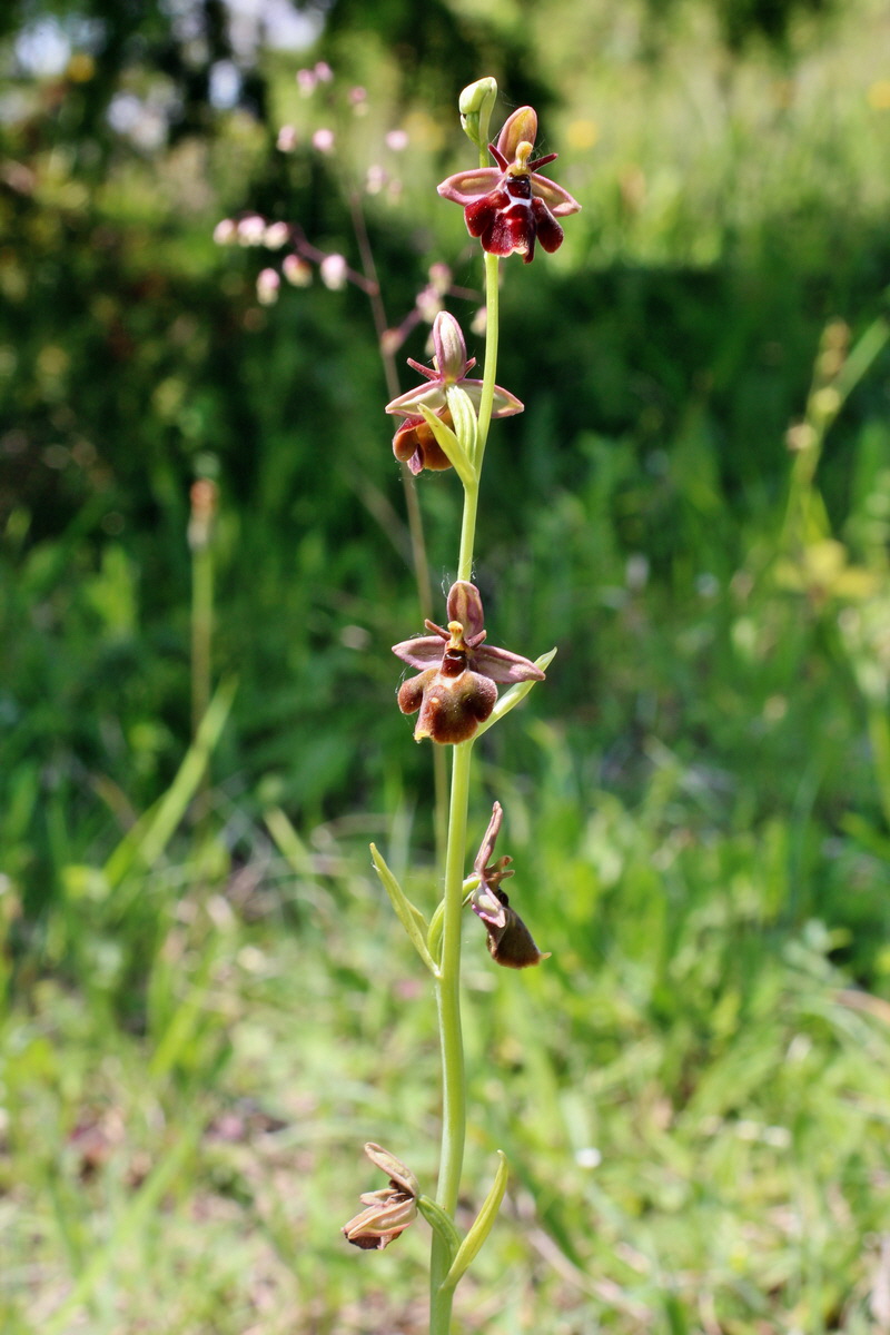 2014_06_02_00045253p_Bildgr��e �ndern