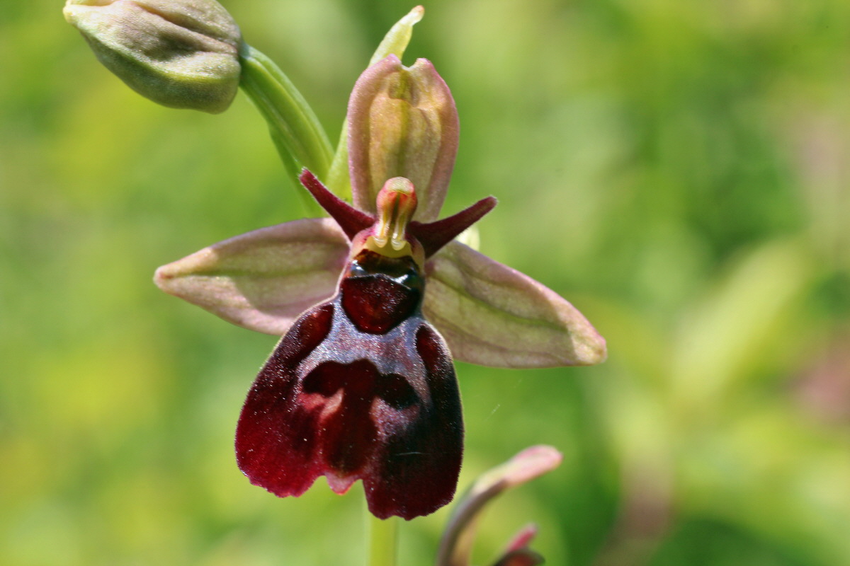 2014_06_02_00045265p_Bildgr��e �ndern