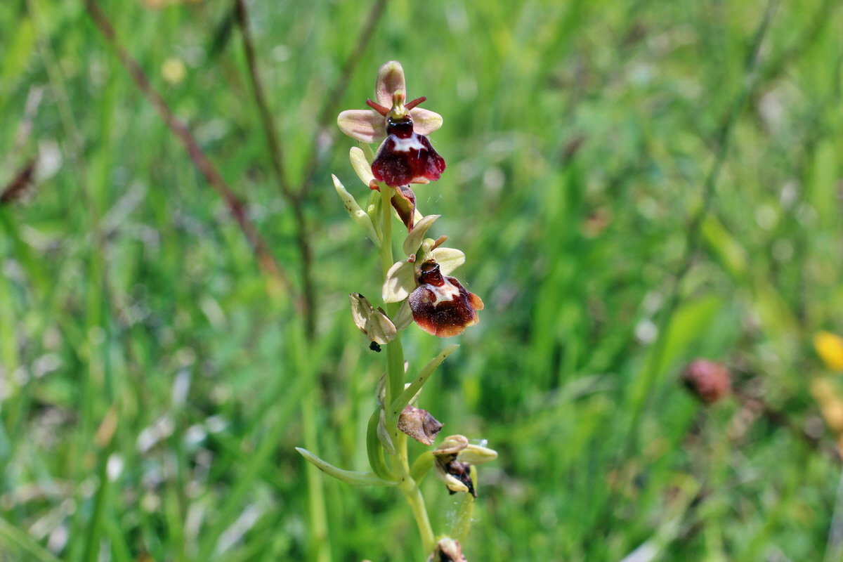 2014_06_02_00045268p_Bildgr��e �ndern