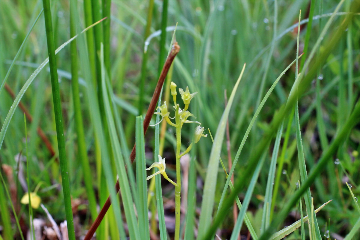 2014_06_03_00045279p_Bildgr��e �ndern