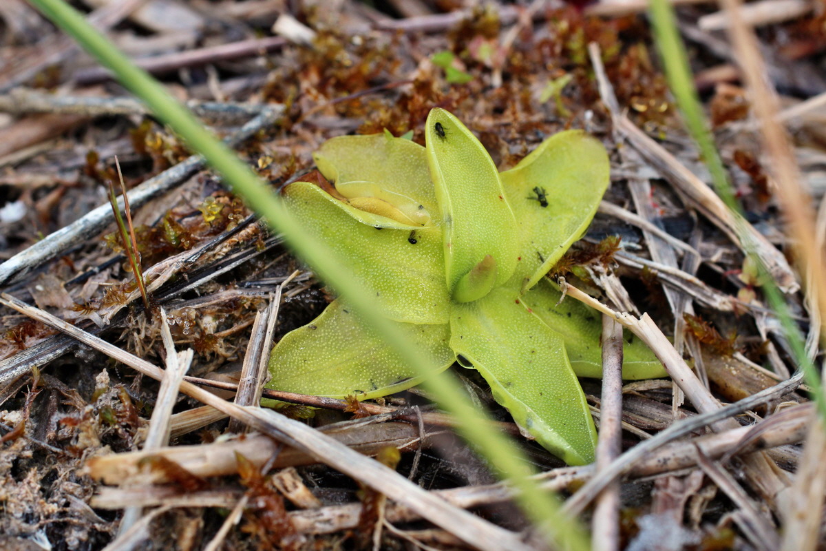 2014_06_03_00045282p_Bildgr��e �ndern