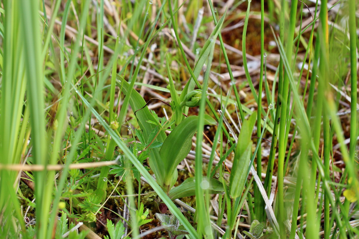 2014_06_03_00045295p_Bildgr��e �ndern