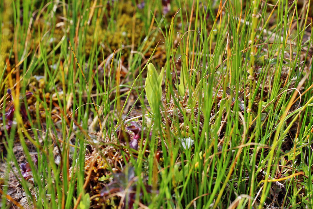 2014_06_03_00045298p_Bildgr��e �ndern