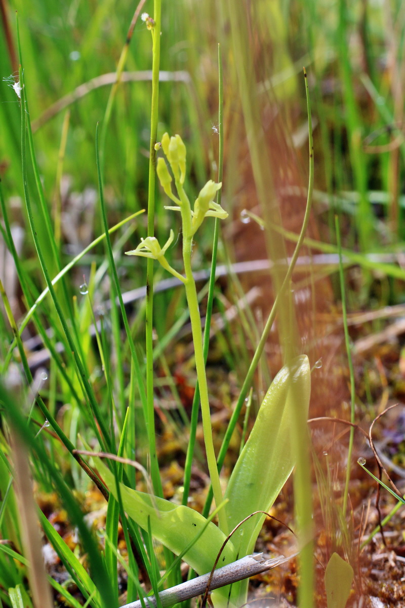 2014_06_03_00045301p_Bildgr��e �ndern