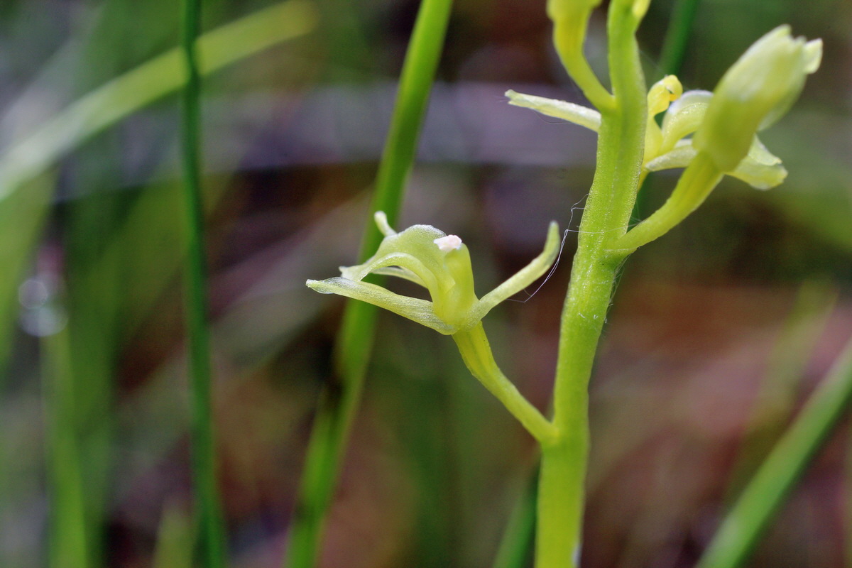 2014_06_03_00045304p_Bildgr��e �ndern