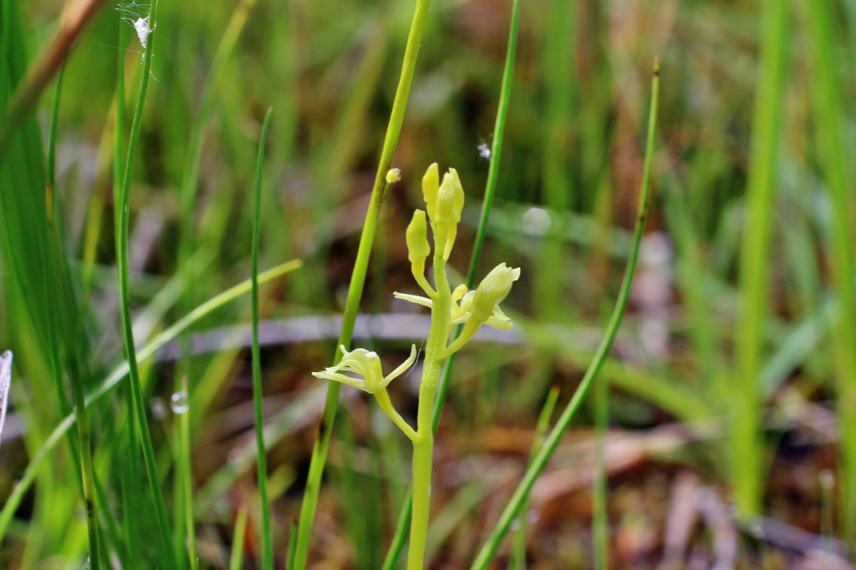 2014_06_03_00045308p_Bildgr��e �ndern