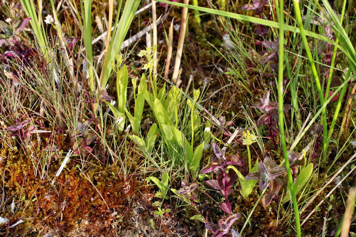 2014_06_03_00045314p_Bildgr��e �ndern