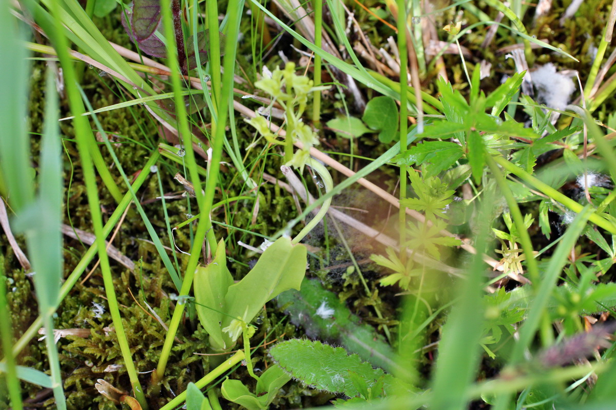 2014_06_03_00045319p_Bildgr��e �ndern