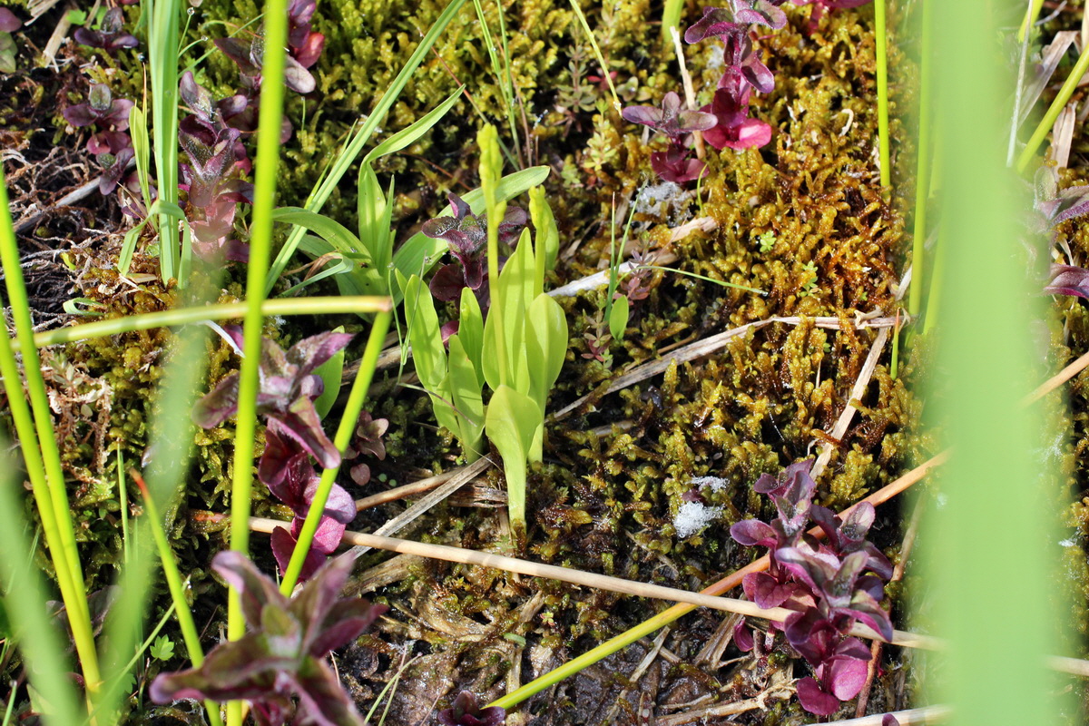 2014_06_03_00045322p_Bildgr��e �ndern