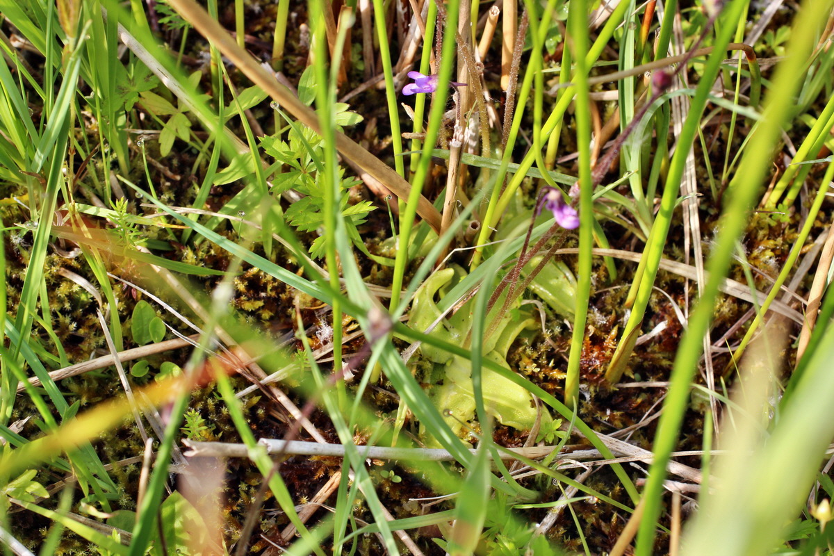 2014_06_03_00045327p_Bildgr��e �ndern