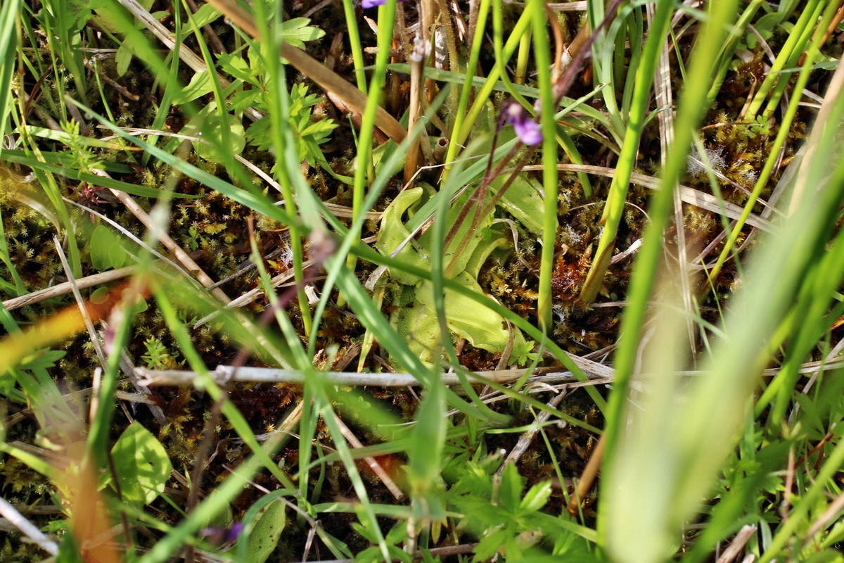 2014_06_03_00045329p_Bildgr��e �ndern