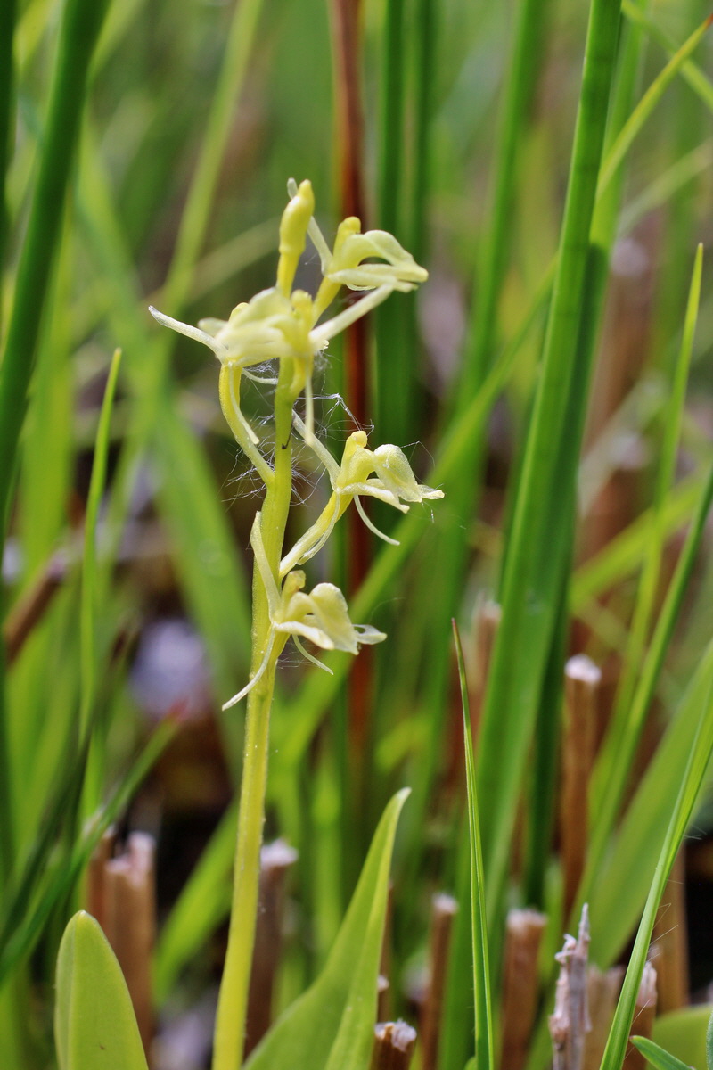 2014_06_03_00045330p_Bildgr��e �ndern