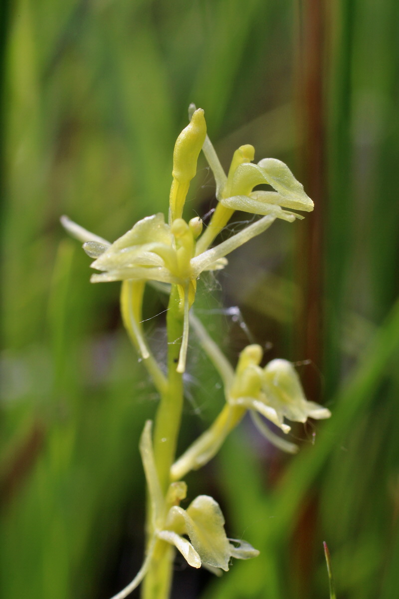 2014_06_03_00045334p_Bildgr��e �ndern