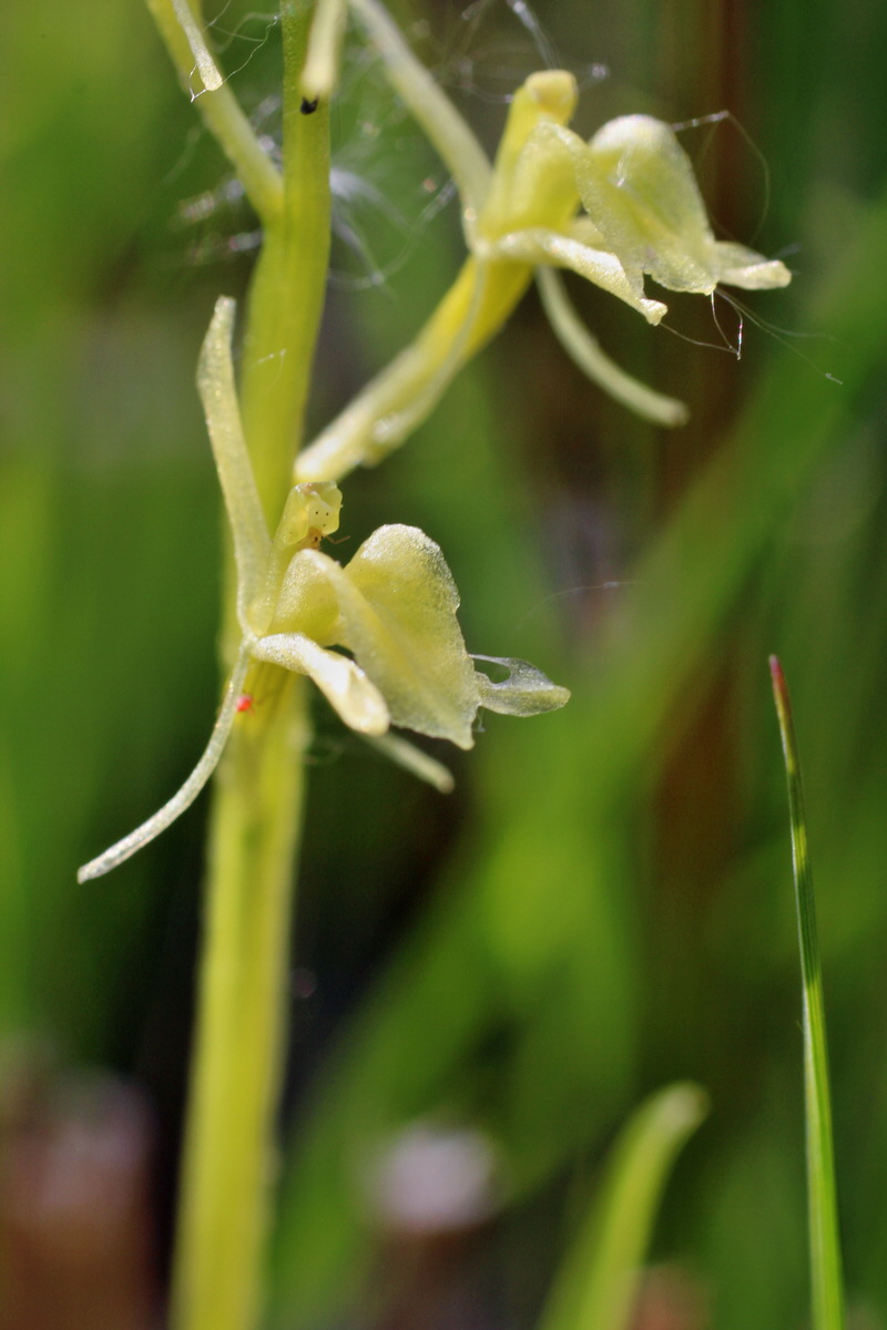 2014_06_03_00045338p_Bildgr��e �ndern