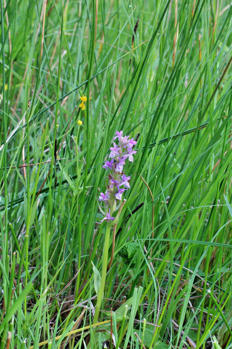 2014_06_03_00045343p_Bildgr��e �ndern