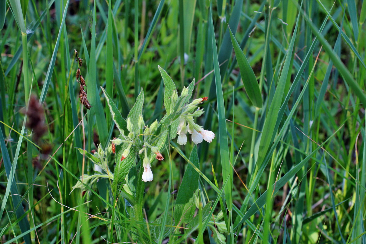 2014_06_03_00045347p_Bildgr��e �ndern