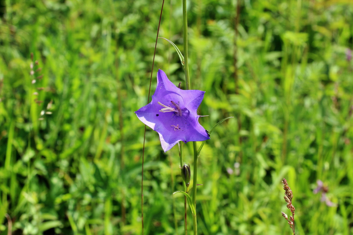 2014_06_03_00045364p_Bildgr��e �ndern