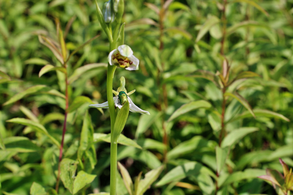 2014_06_03_00045378p_Bildgr��e �ndern