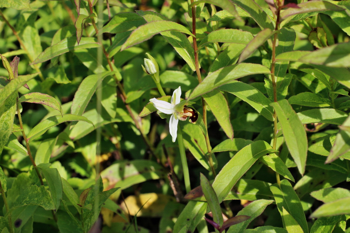 2014_06_03_00045383p_Bildgr��e �ndern