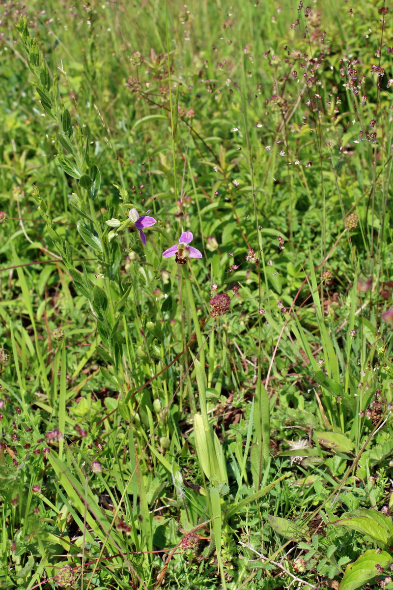 2014_06_03_00045385p_Bildgr��e �ndern