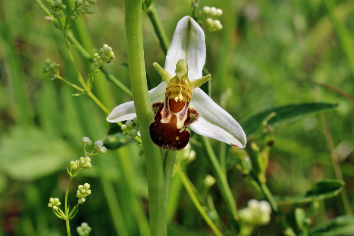 2014_06_03_00045399p_Bildgr��e �ndern