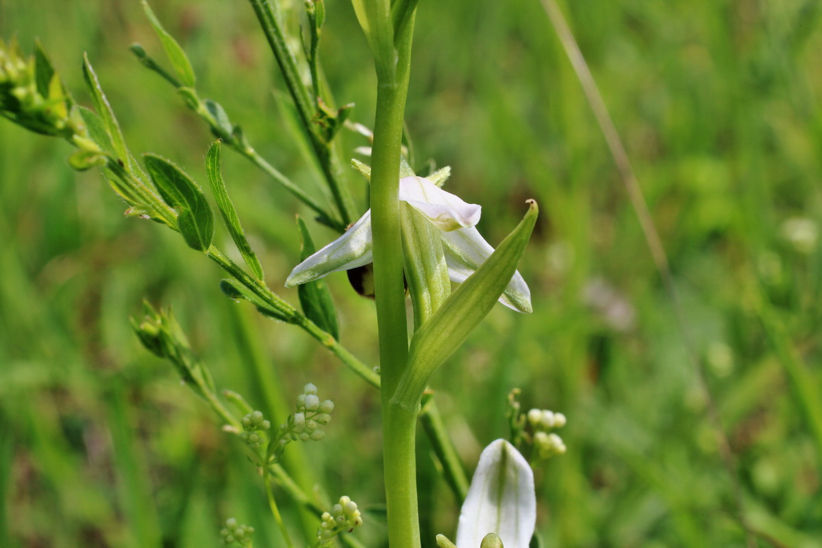 2014_06_03_00045403p_Bildgr��e �ndern