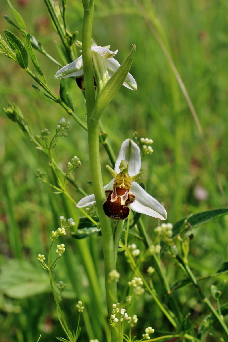 2014_06_03_00045407p_Bildgr��e �ndern