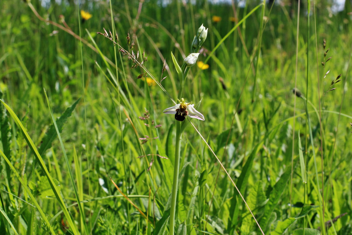 2014_06_03_00045421p_Bildgr��e �ndern