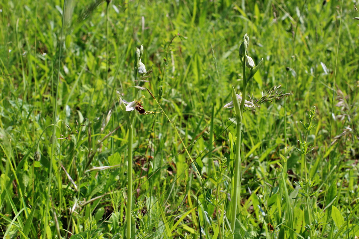 2014_06_03_00045423p_Bildgr��e �ndern