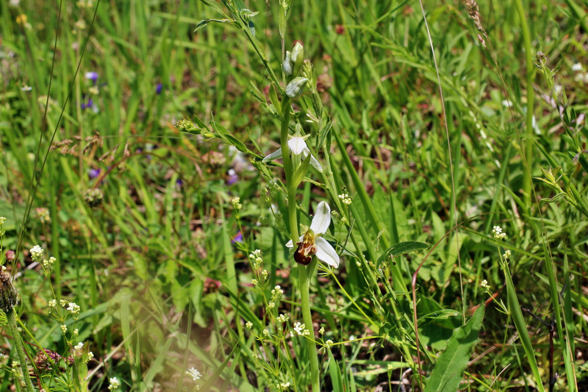 2014_06_03_00045427p_Bildgr��e �ndern