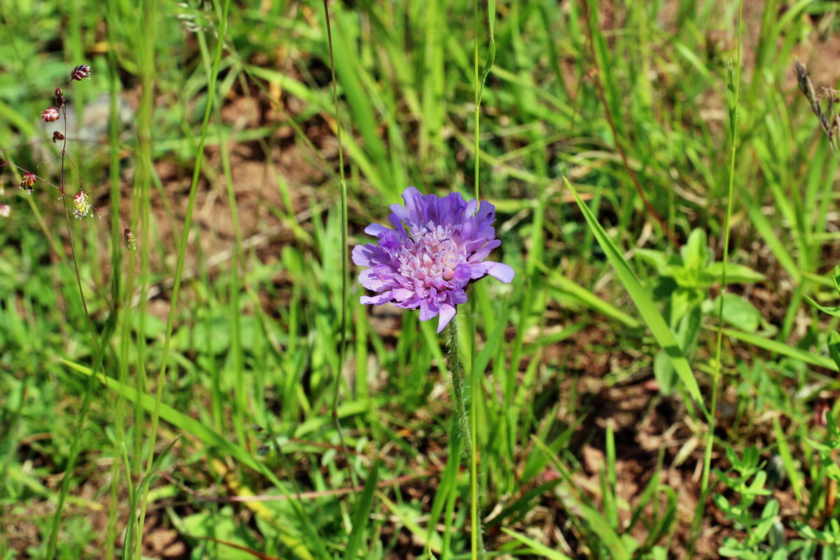 2014_06_03_00045432p_Bildgr��e �ndern