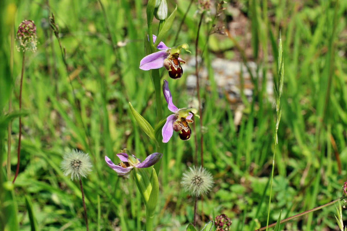 2014_06_03_00045437p_Bildgr��e �ndern