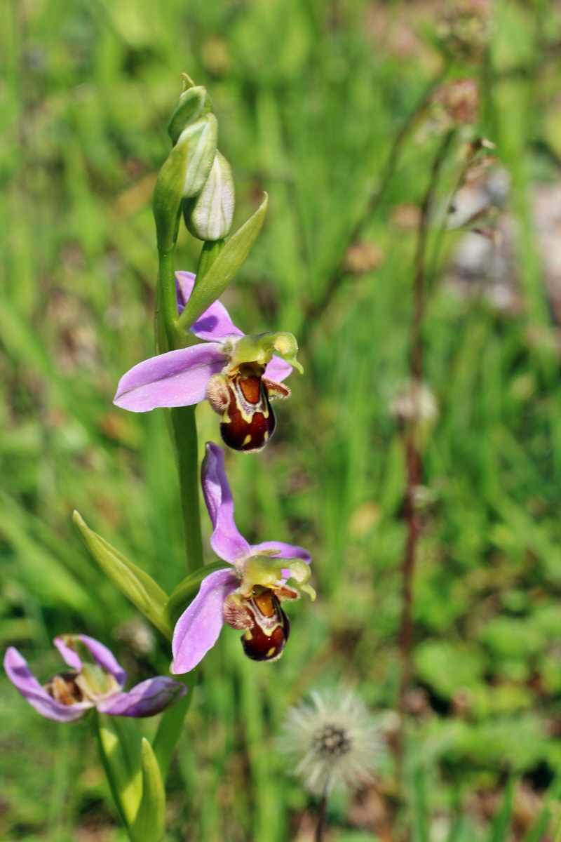 2014_06_03_00045441p_Bildgr��e �ndern