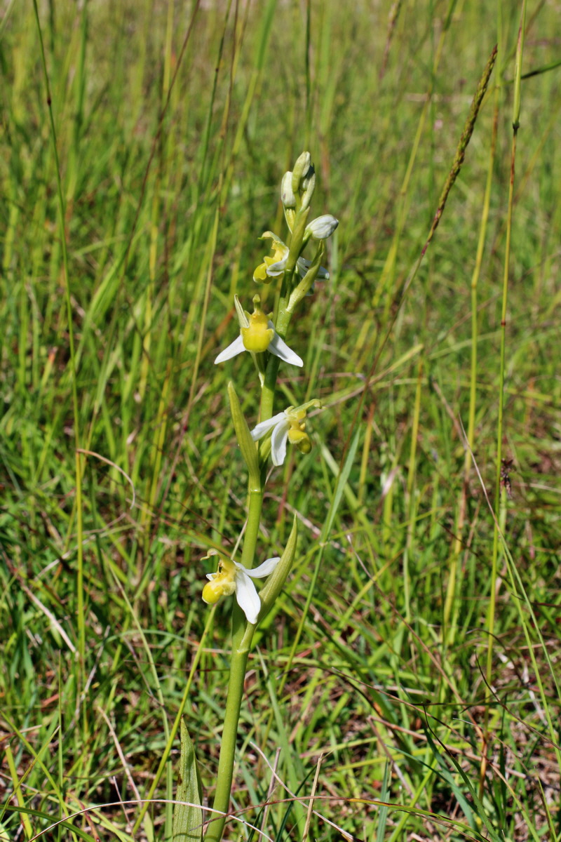 2014_06_05_00045454p_Bildgr��e �ndern