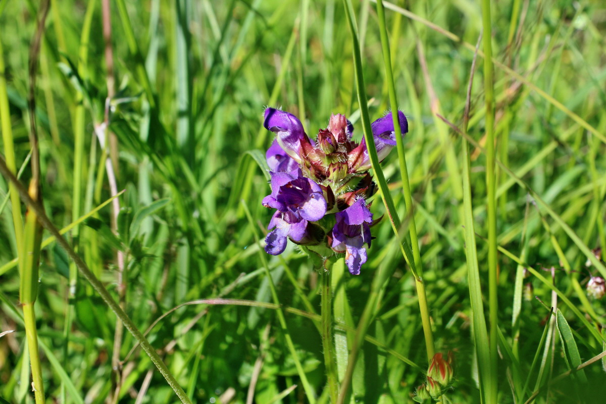 2014_06_05_00045457p_Bildgr��e �ndern