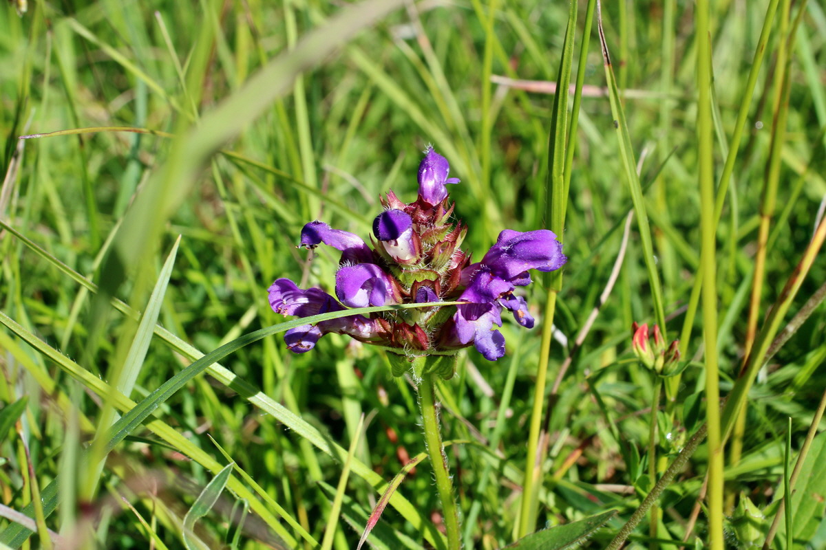 2014_06_05_00045459p_Bildgr��e �ndern