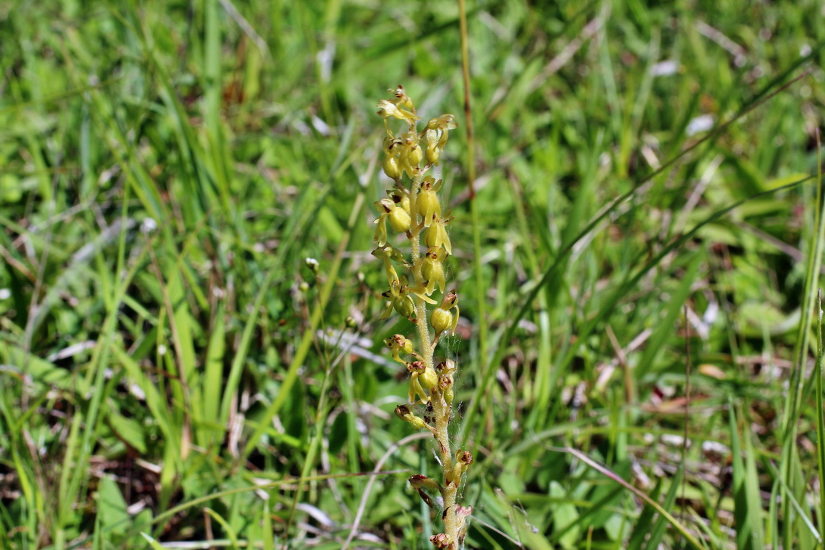 2014_06_05_00045484p_Bildgr��e �ndern