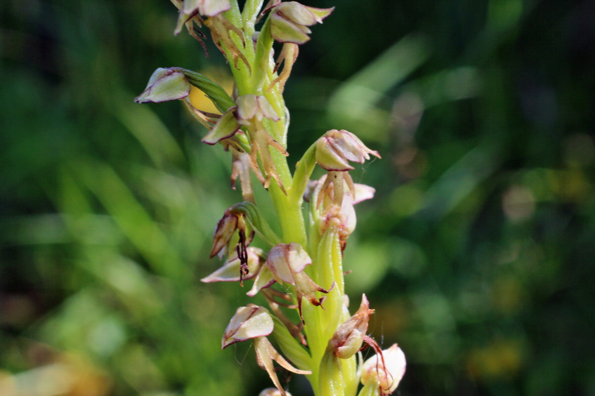 2014_06_05_00045489p_Bildgr��e �ndern