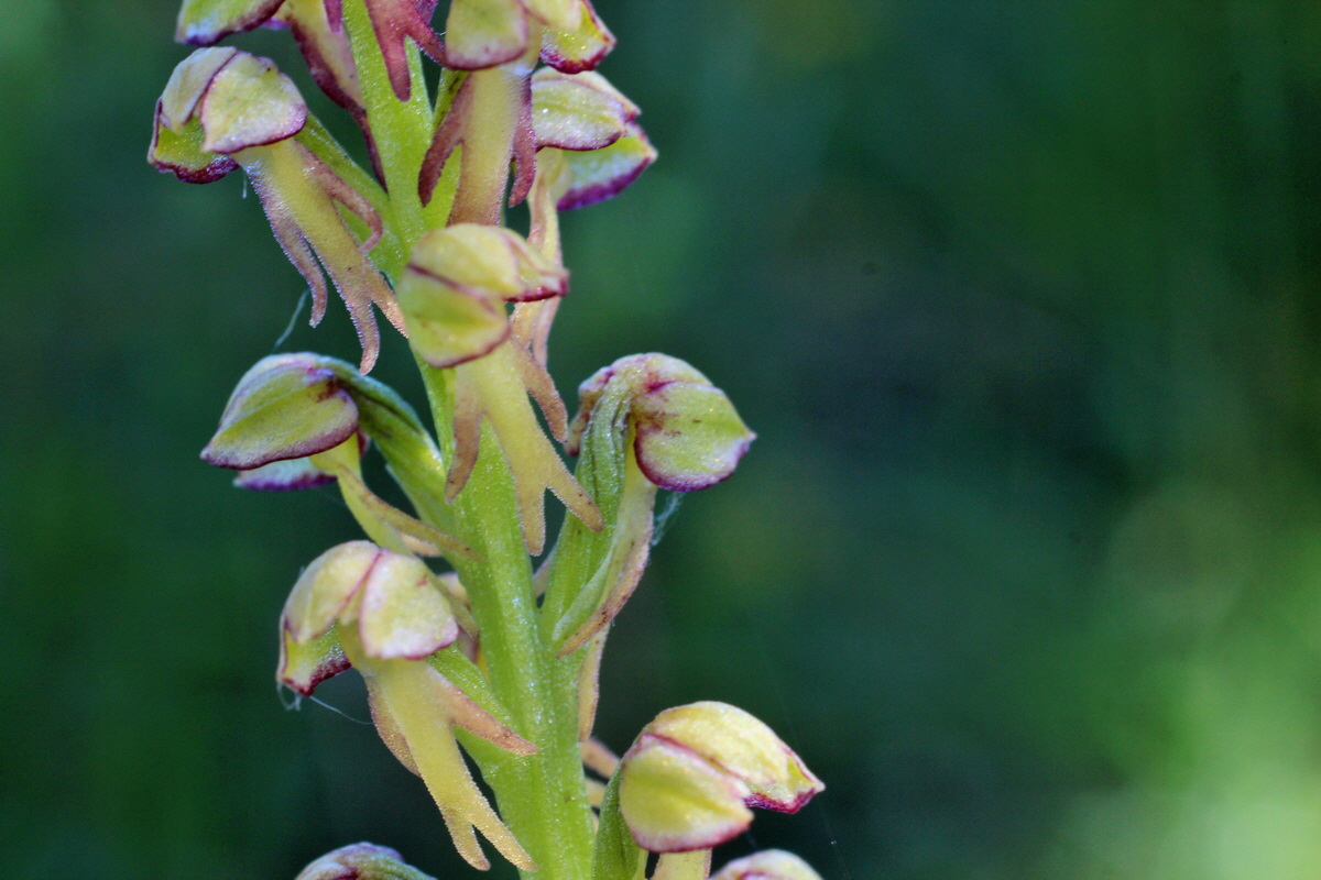 2014_06_05_00045496p_Bildgr��e �ndern