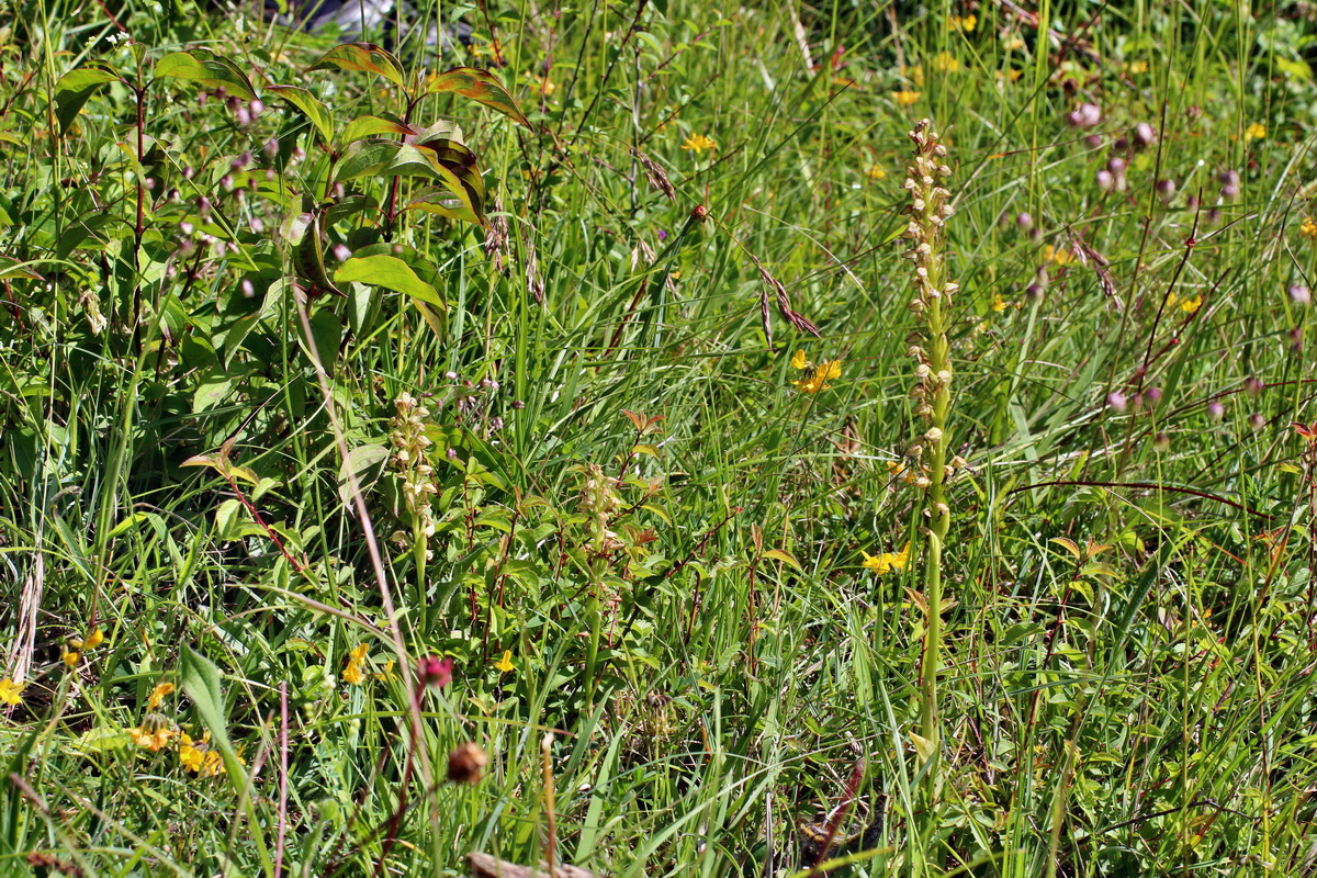 2014_06_05_00045511p_Bildgr��e �ndern