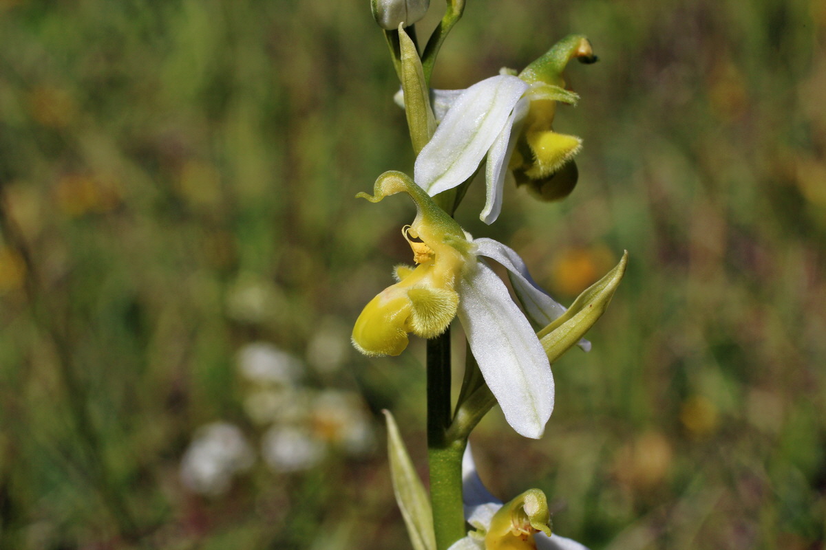 2014_06_05_00045519p_Bildgr��e �ndern