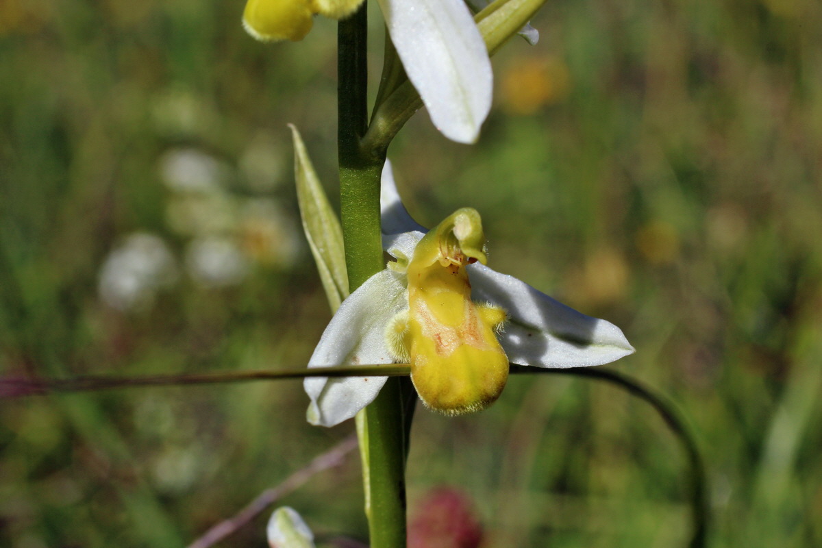 2014_06_05_00045522p_Bildgr��e �ndern