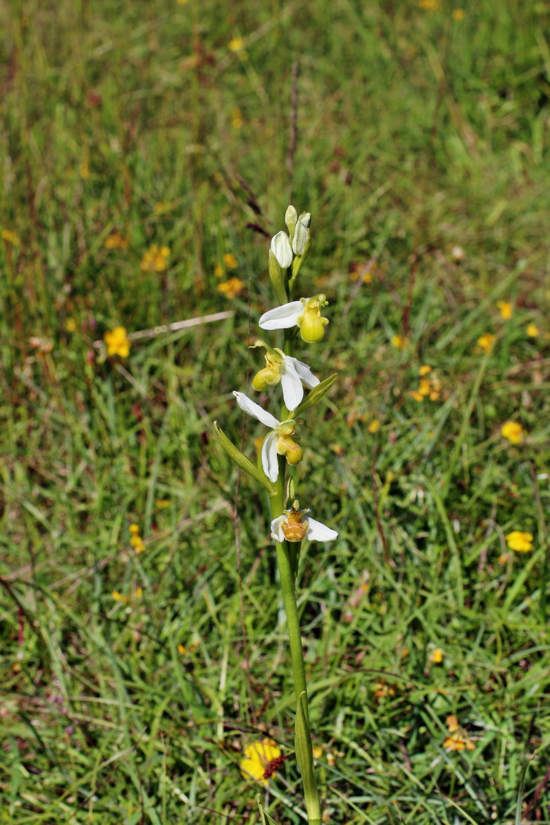 2014_06_05_00045528p_Bildgr��e �ndern