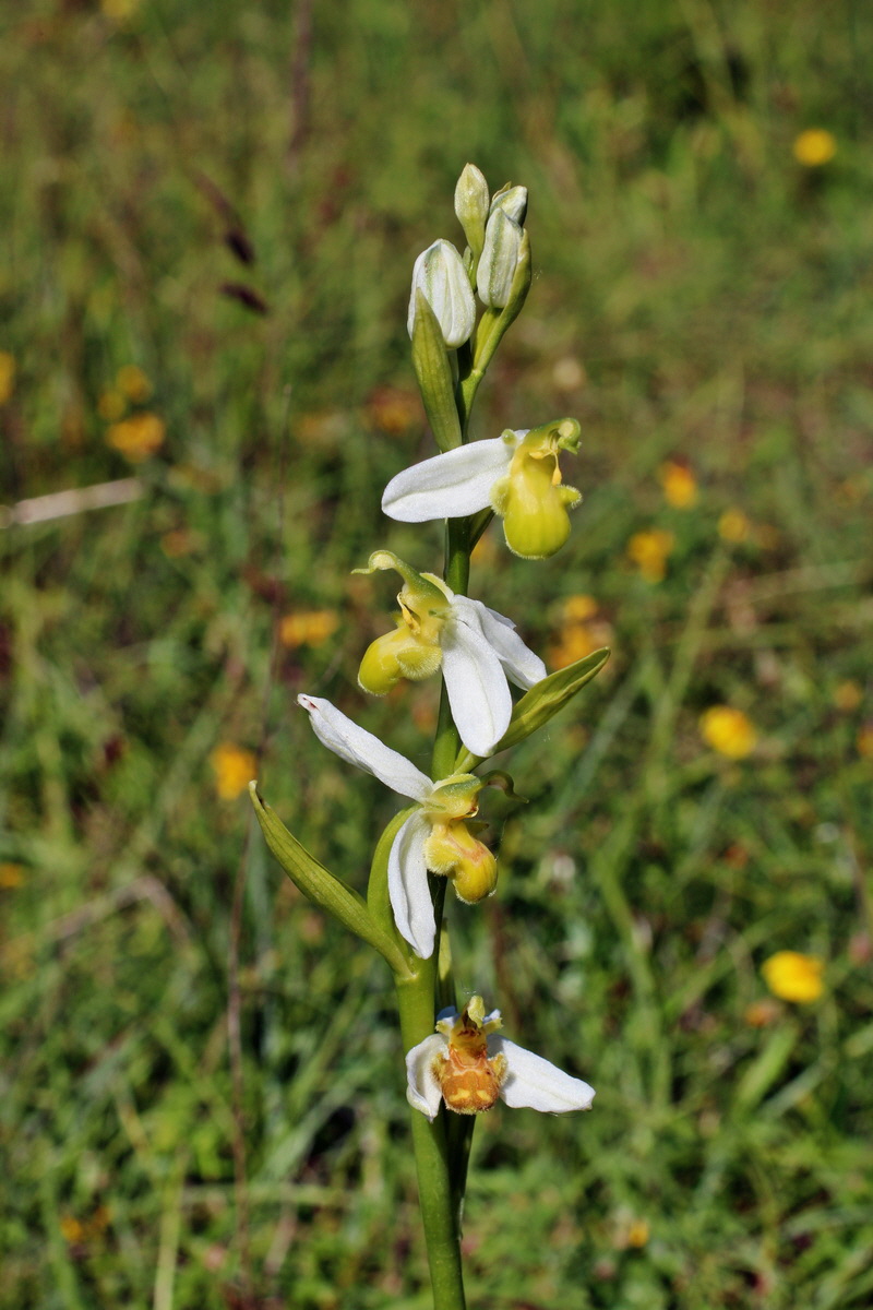 2014_06_05_00045532p_Bildgr��e �ndern