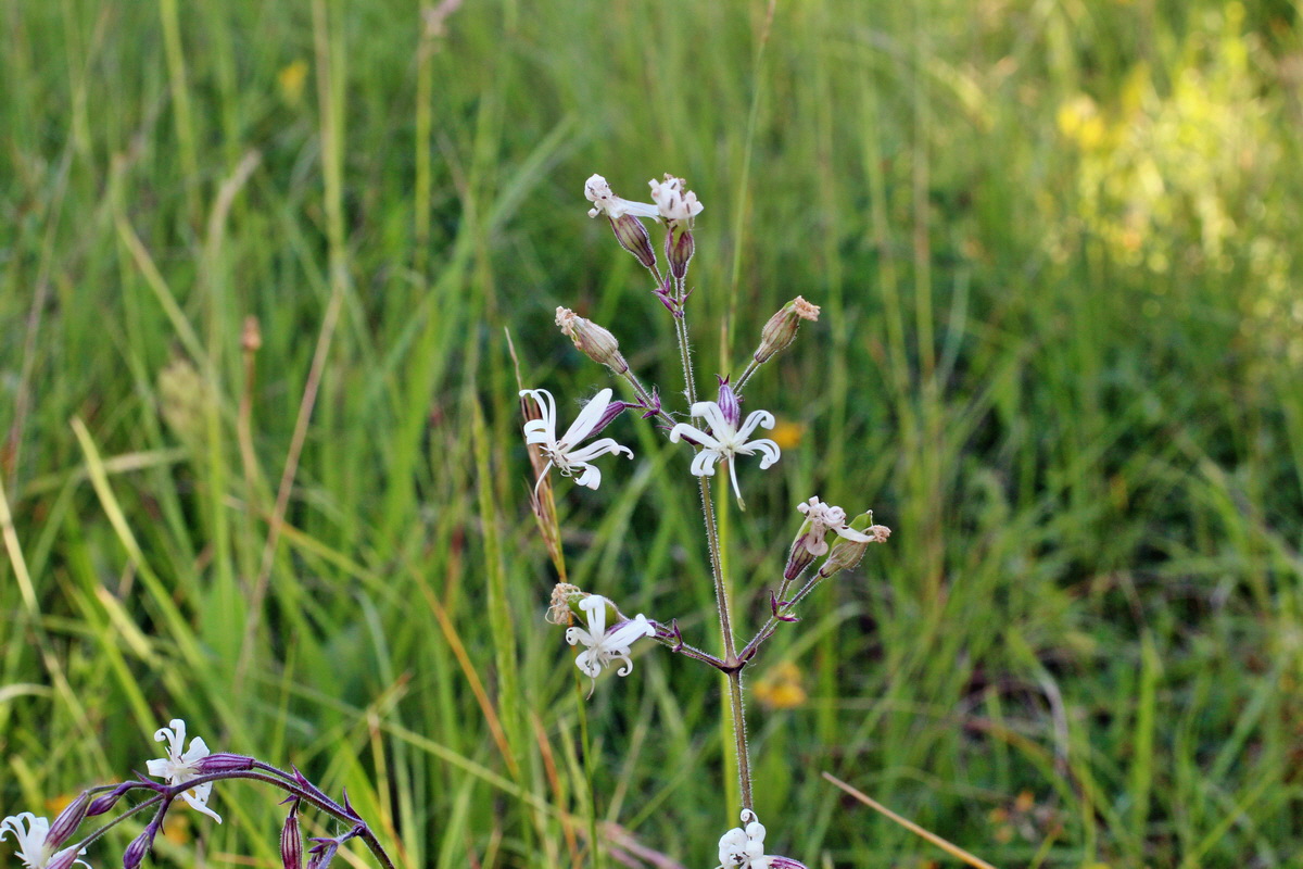 2014_06_05_00045534p_Bildgr��e �ndern