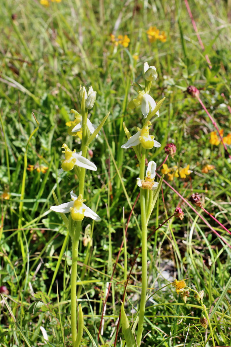 2014_06_05_00045541p_Bildgr��e �ndern