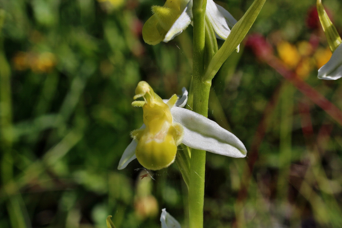 2014_06_05_00045549p_Bildgr��e �ndern