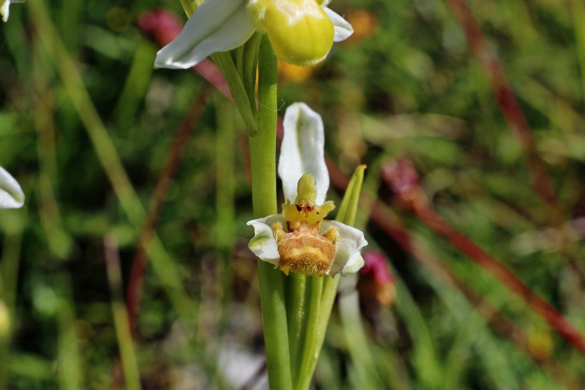 2014_06_05_00045555p_Bildgr��e �ndern