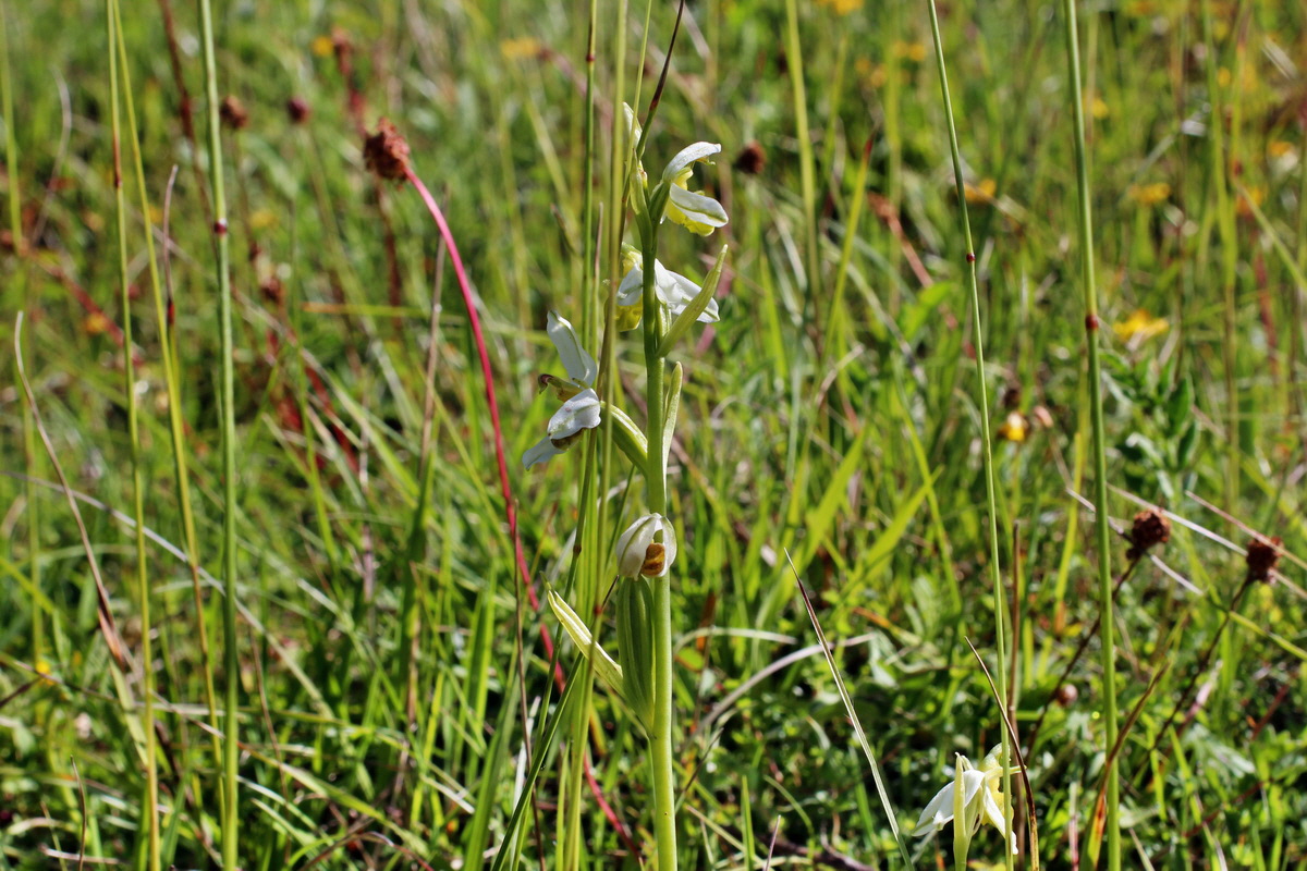 2014_06_05_00045561p_Bildgr��e �ndern