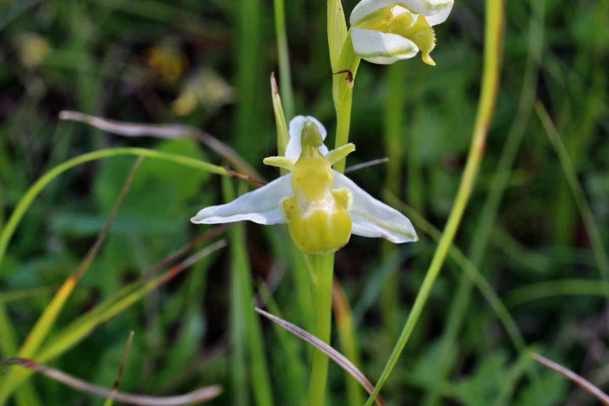 2014_06_05_00045593p_Bildgr��e �ndern